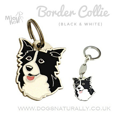 Border Collie Dog Tag (Black & White)